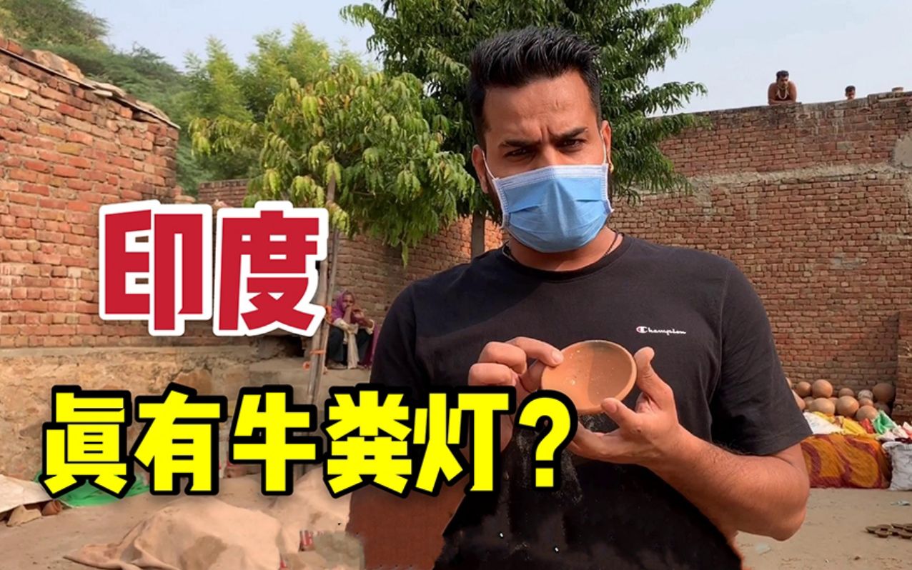 印度人如何看待印度的牛粪芯片?马怒:你跟我说这玩意有用?