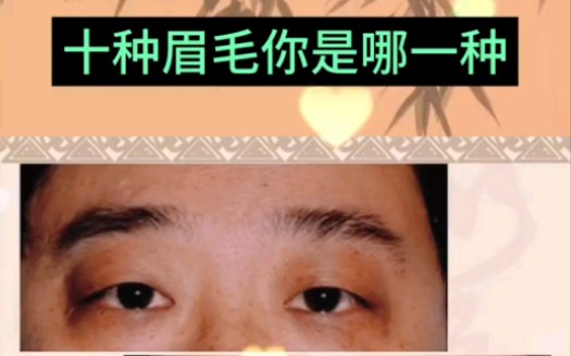 十种眉毛你是哪一种?哔哩哔哩bilibili