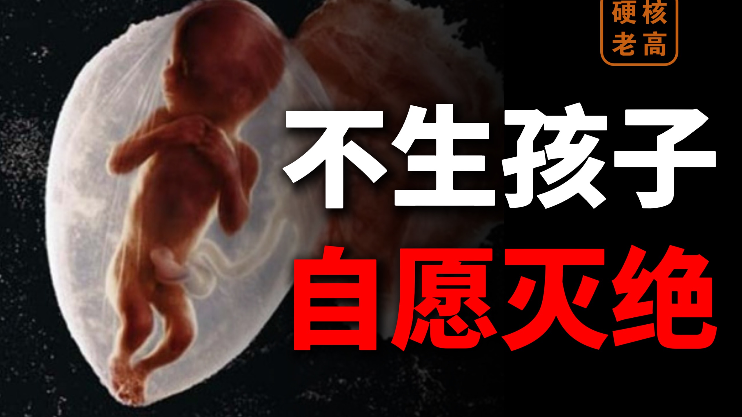 当代年轻人有多自私?其实一点也不【硬核老高】-硬核老高-硬核老高-哔哩哔哩视频