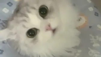 【不丢小朋友】丢丢喊麻麻好标准惹～