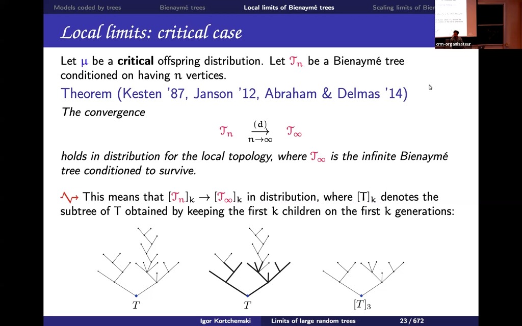 Random walks and branching random walks old and new perspectives  Lecture 15 (2哔哩哔哩bilibili