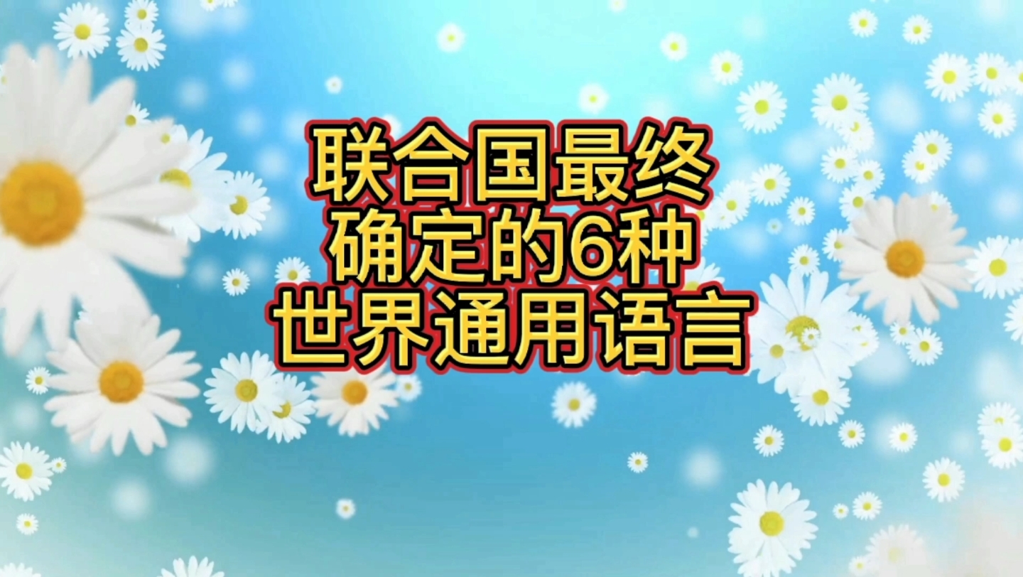 联合国最终确定6种世界通用语言,中国汉语在列哔哩哔哩bilibili