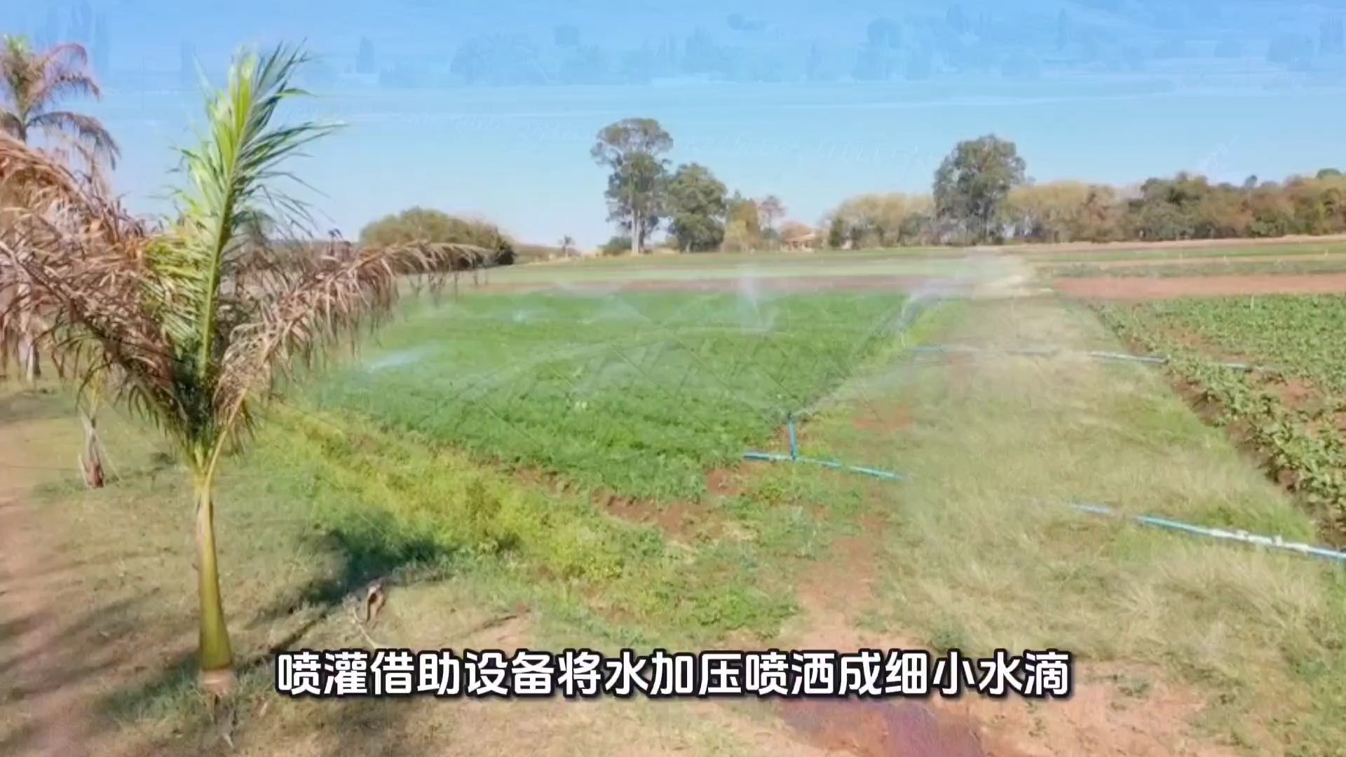 灌溉方式