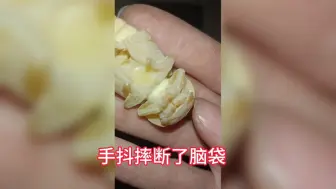 下载视频: 奉劝大家千万别手贱别手贱！辛辛苦苦养了5个月的巴母最后没了