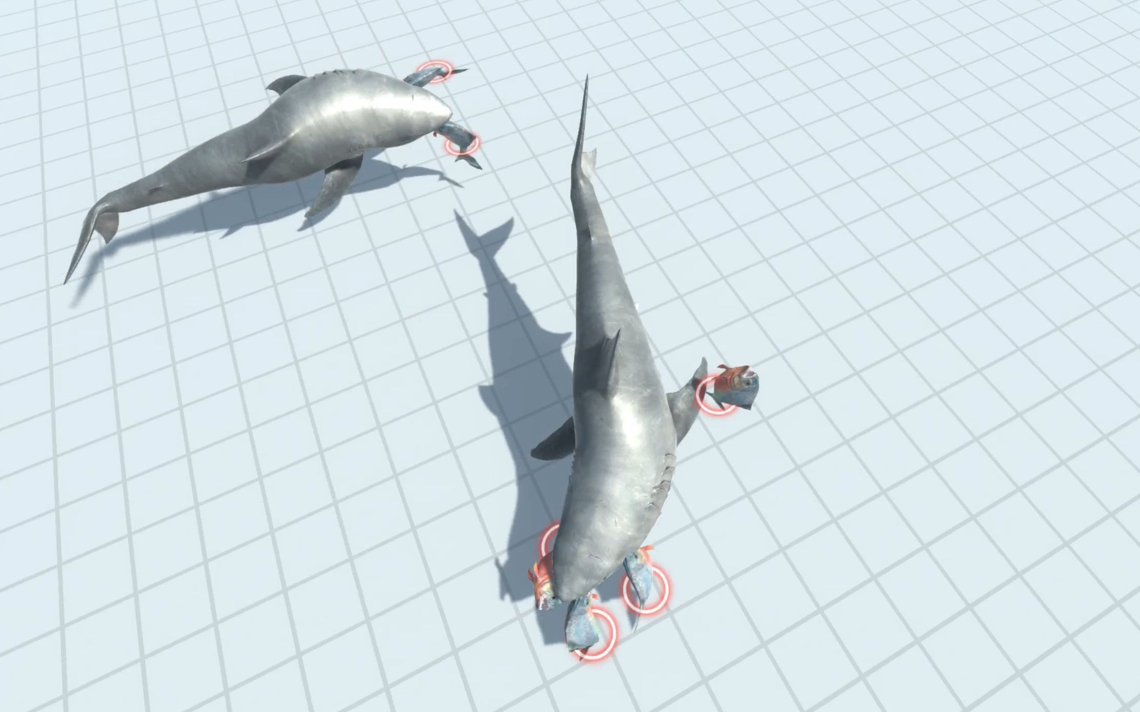 【动物战争模拟器】大白鲨vs食人鱼