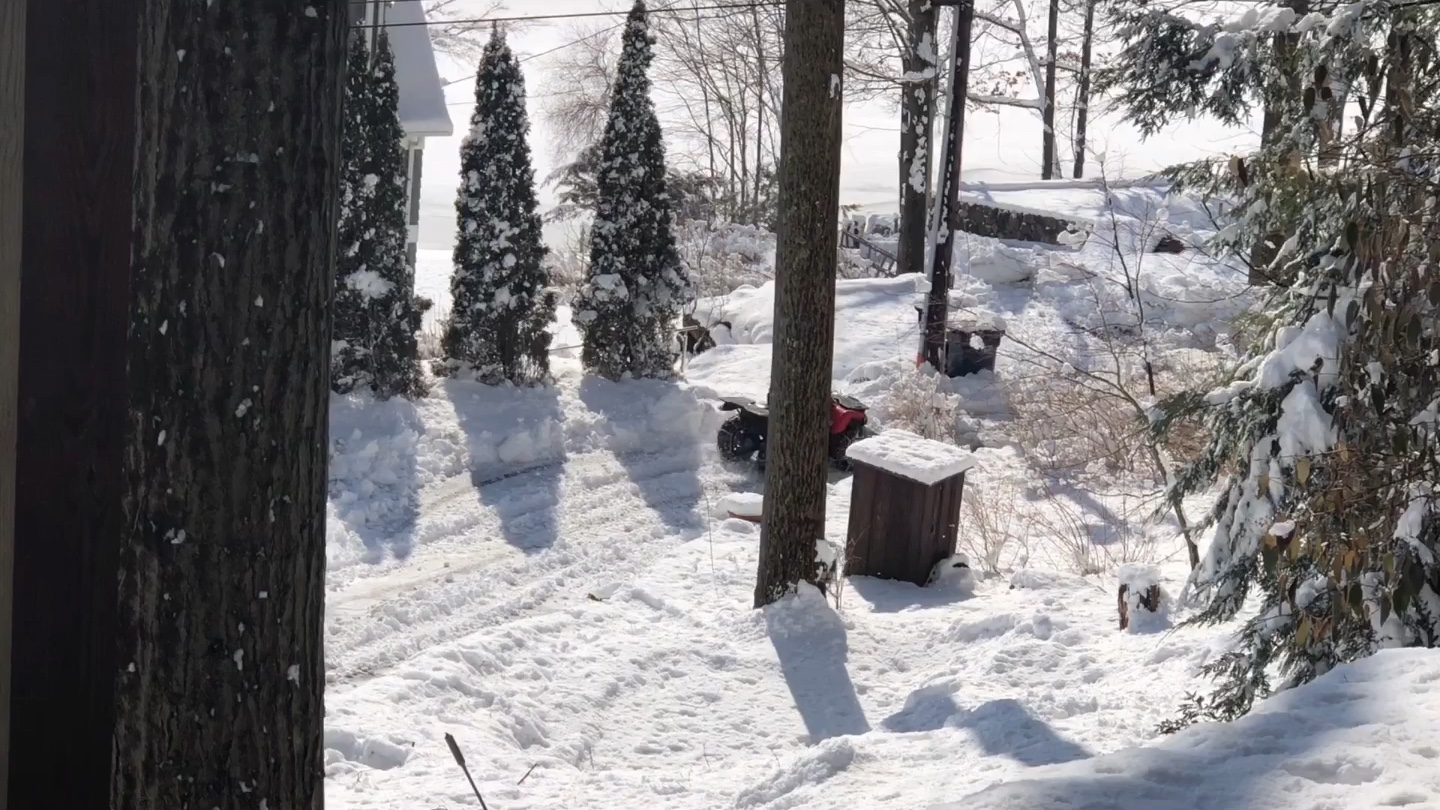 住在纽约北100公里的湖边半山腰,大雪封门怎么铲雪?哔哩哔哩bilibili