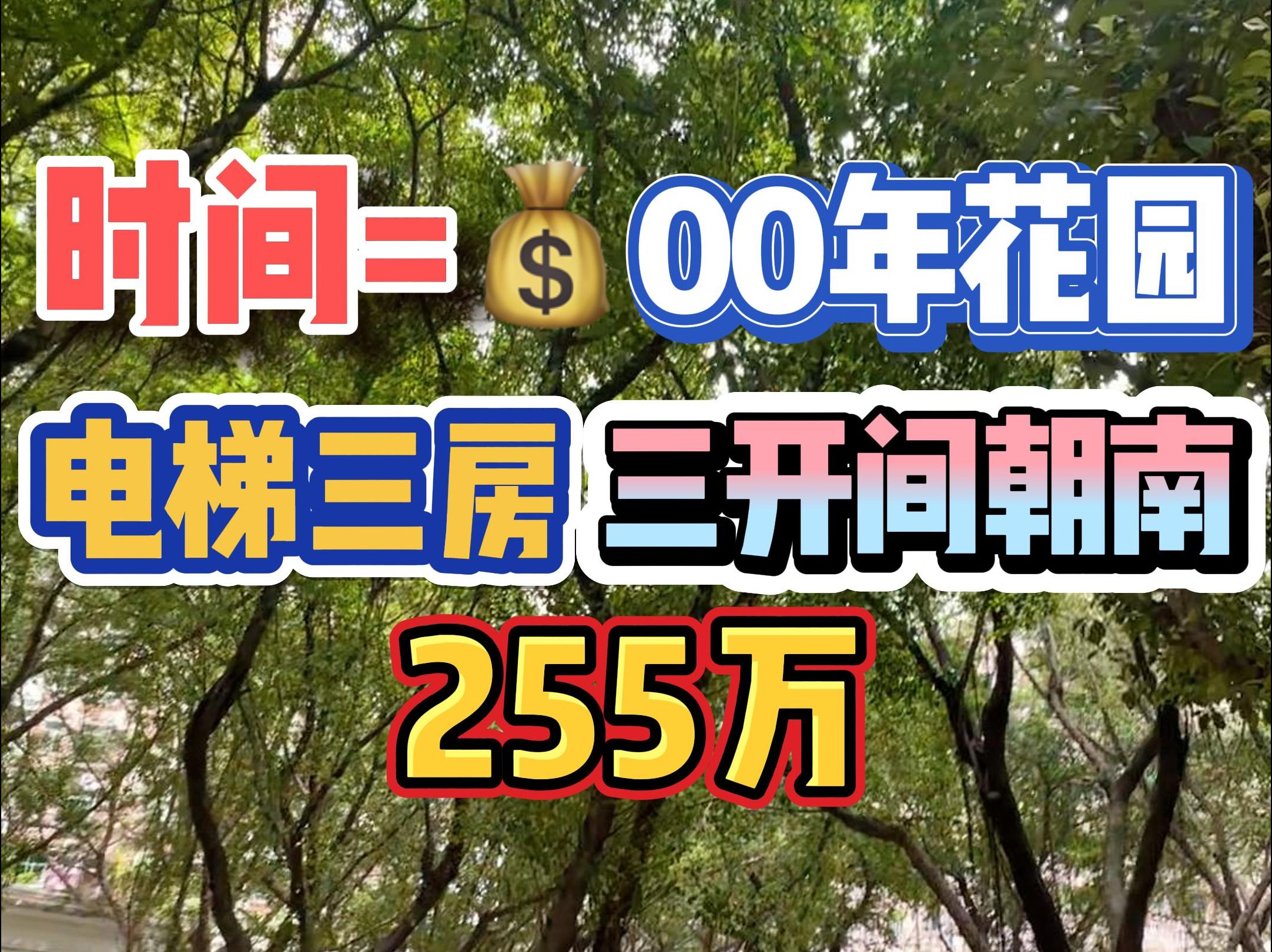 时间=金!00年花园,电梯三房,三开间朝南,255万!哔哩哔哩bilibili