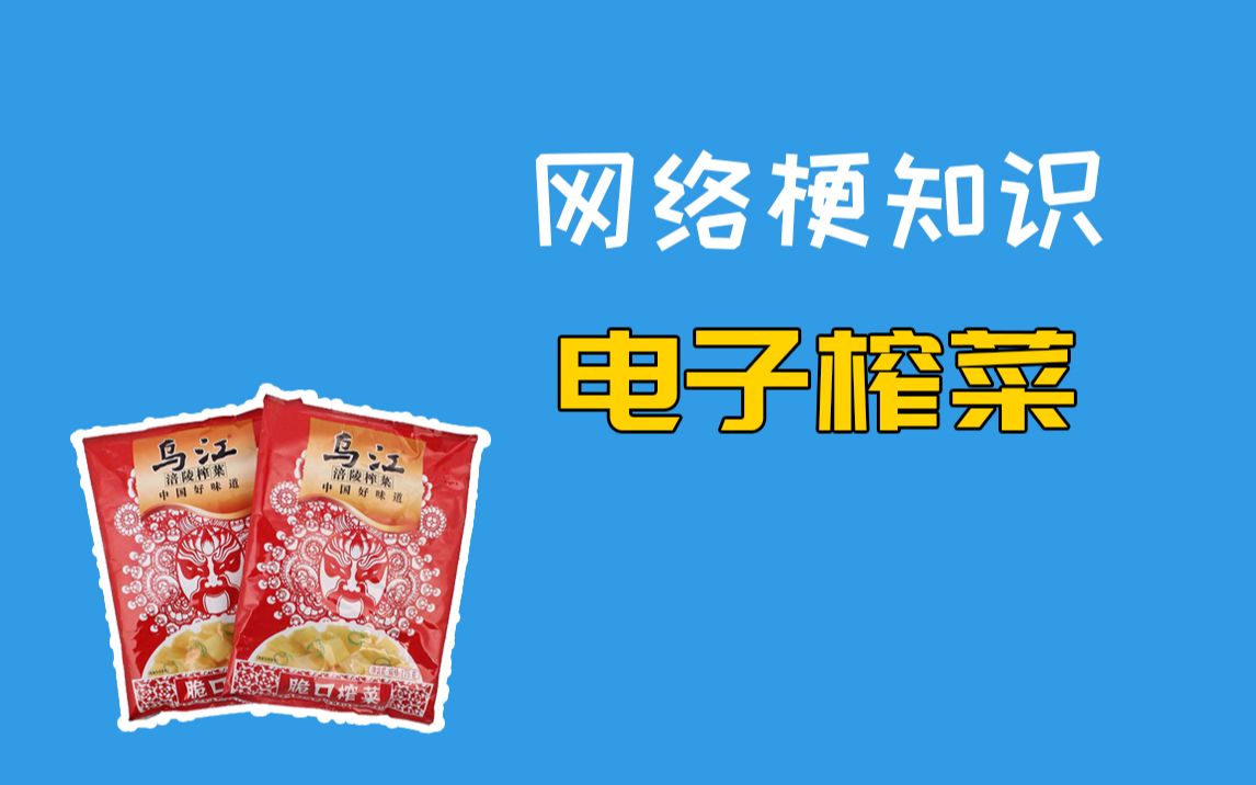 电子榨菜是什么梗【网络梗知识】哔哩哔哩bilibili