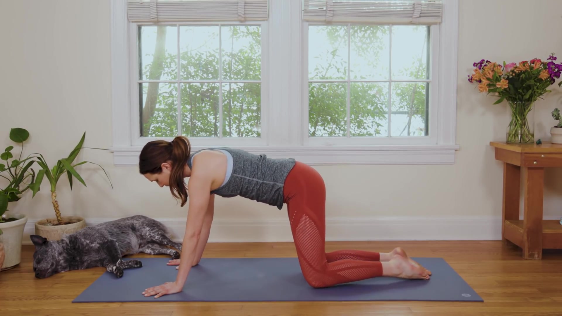 中字油管播放360万的11分钟清晨拉伸瑜伽yogawithadriene