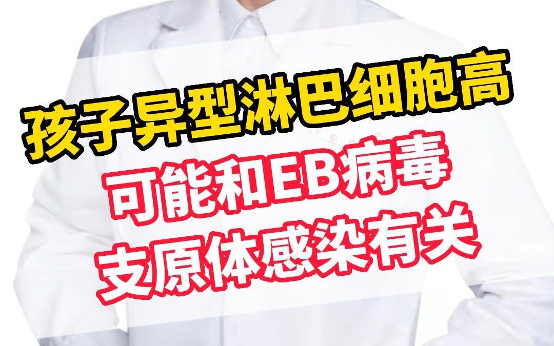 孩子检查发现异型淋巴细胞高,一般和EB病毒感染、支原体感染有关.哔哩哔哩bilibili