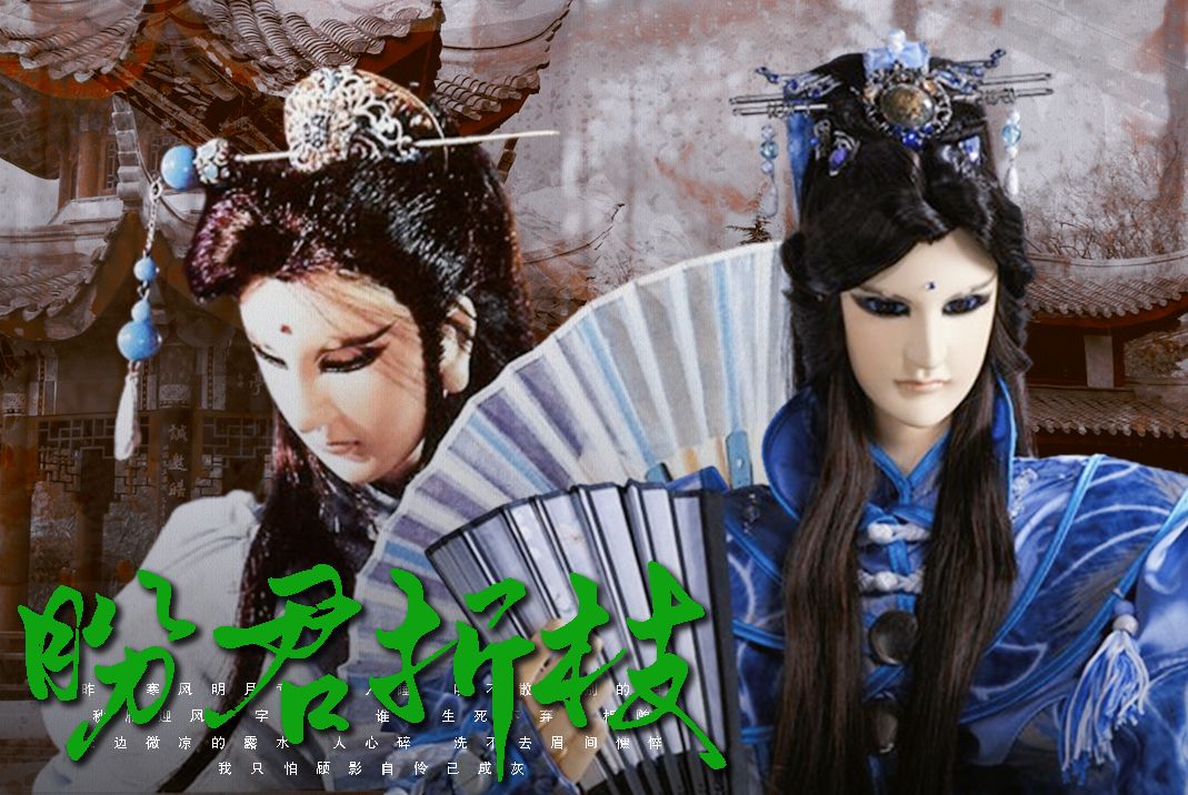 【素续缘】盼君归来折枝头,只等到雨落花满楼.