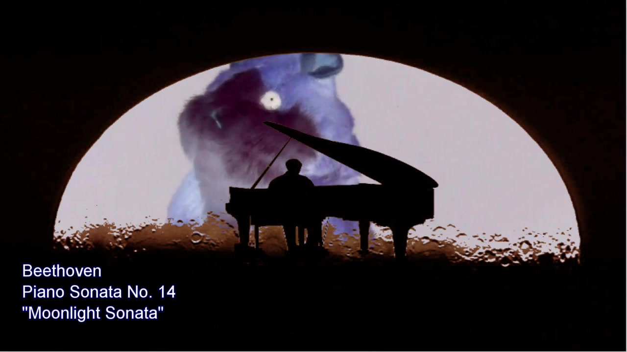 talking hamster--月光奏鸣曲