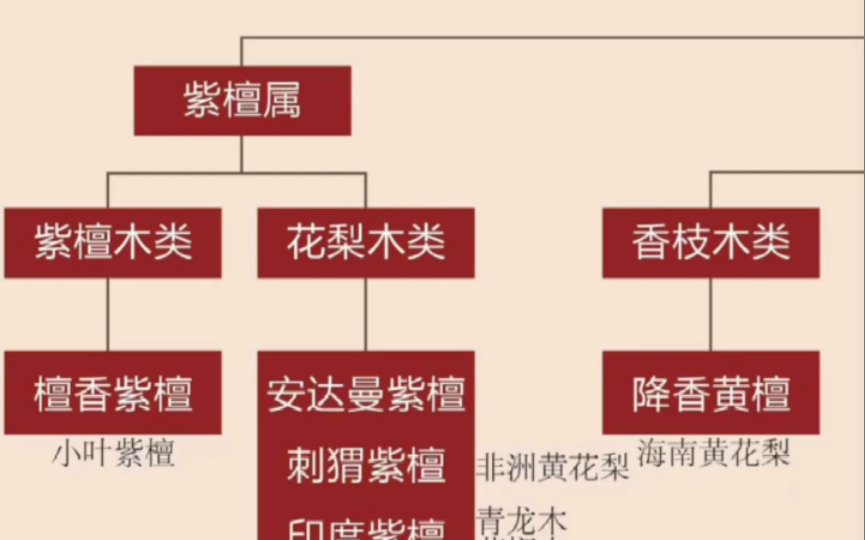 最全红木国标5属8类29材图文详解,建议看完点赞收藏哔哩哔哩bilibili