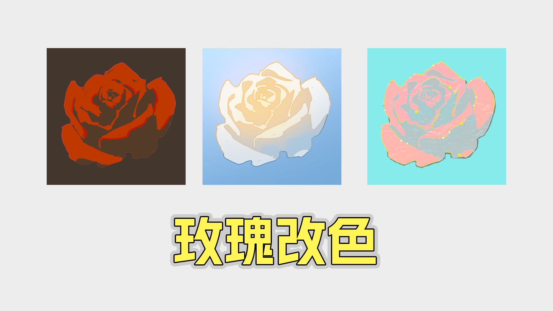 玫瑰改色