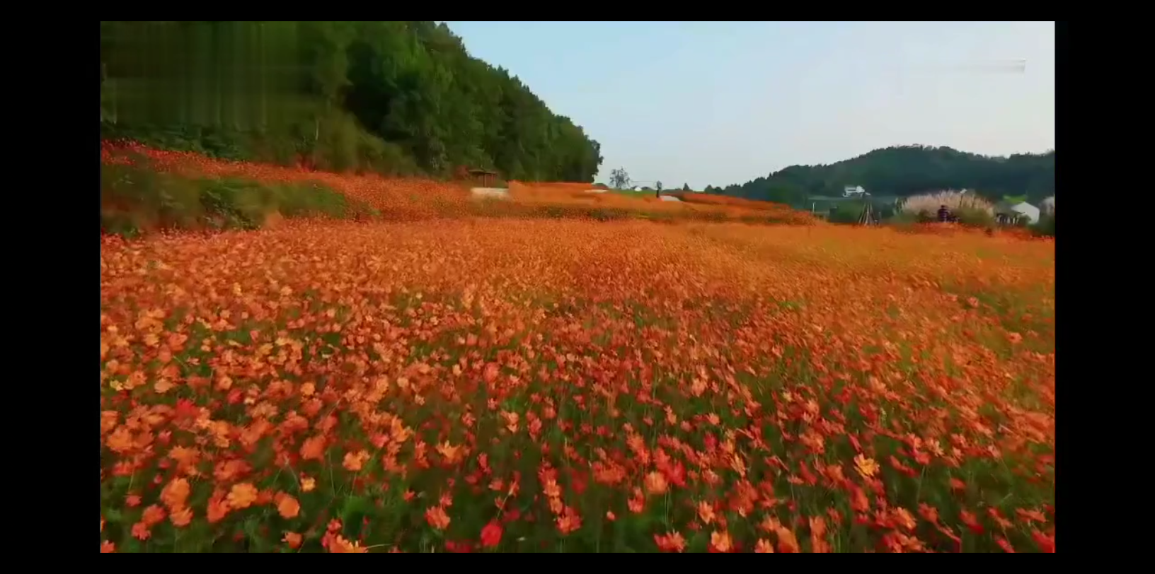 【朗读者 | 遇见】 董卿 周小林 殷杰:爱情 | 我们相爱一生,还是太短哔哩哔哩bilibili