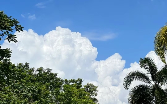 探访湛江大海的壮丽景色