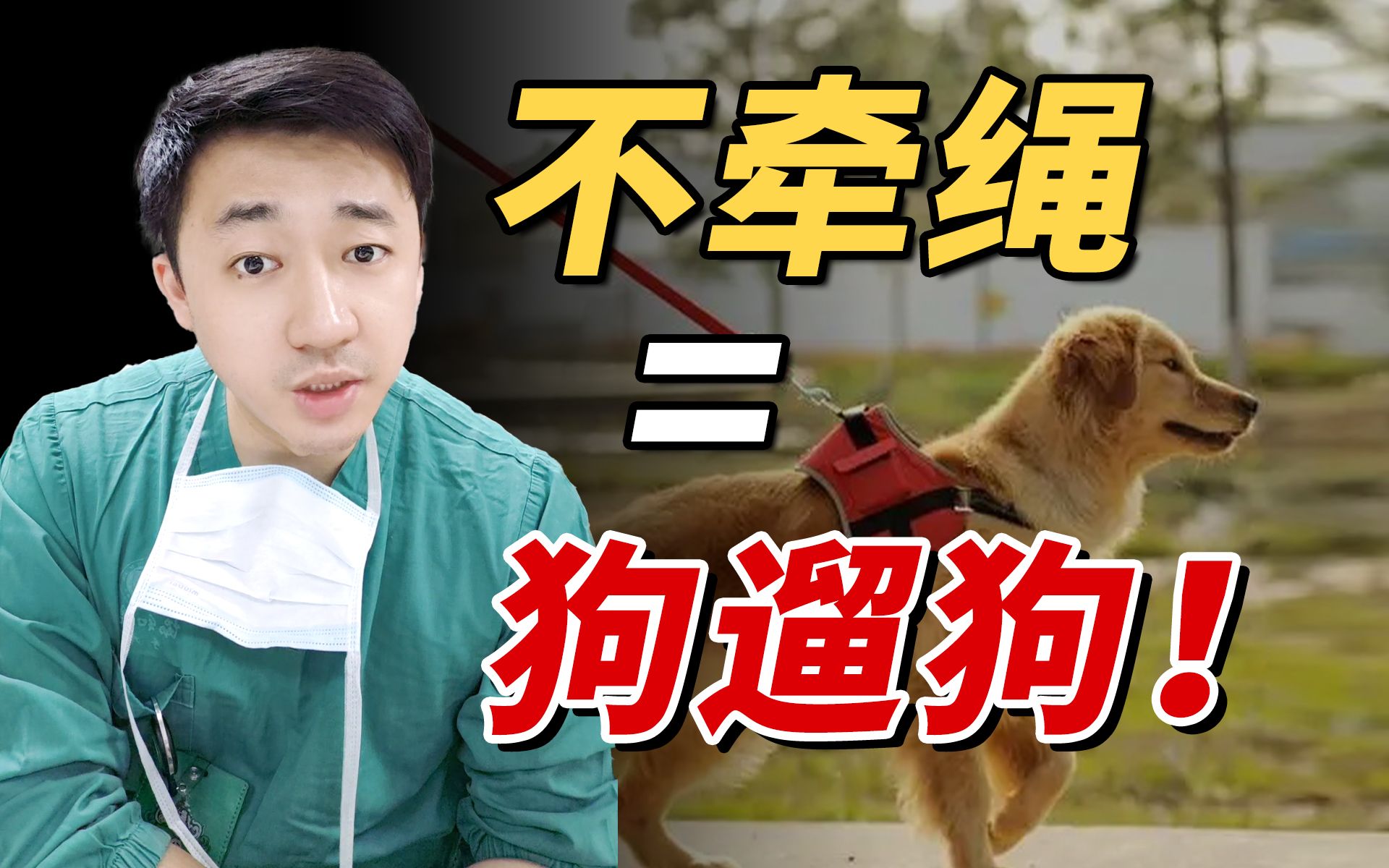 遛狗不牵绳,等于狗遛狗!