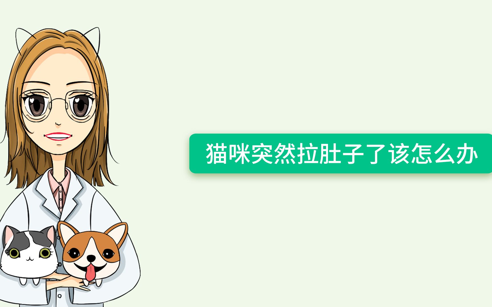 猫咪突然拉肚子了,该怎么办?哔哩哔哩bilibili