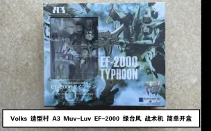 Download Video: 造型村 A3 Muv-Luv EF-2000 绿台风 战术机 简单开盒