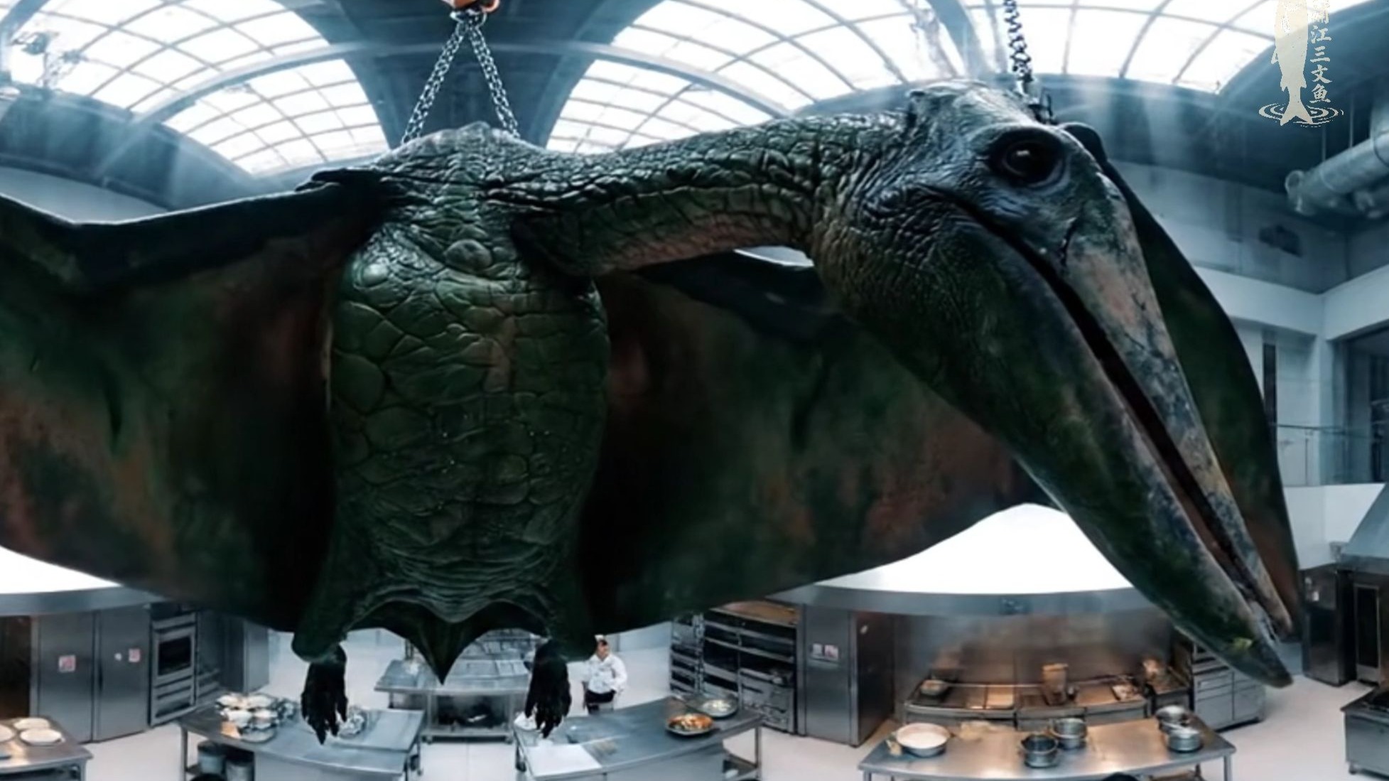 上海主理人把翼龙做成三菜一汤