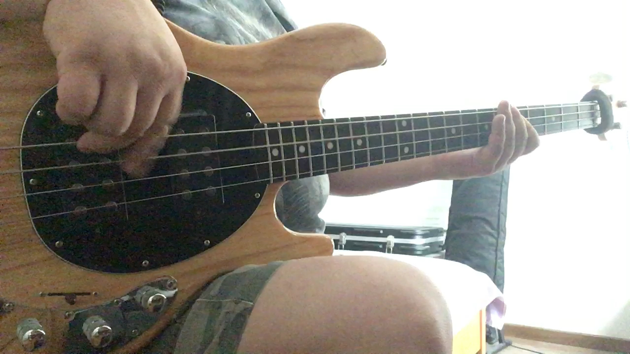 [图]Kung Fu Fighting Bass Cover