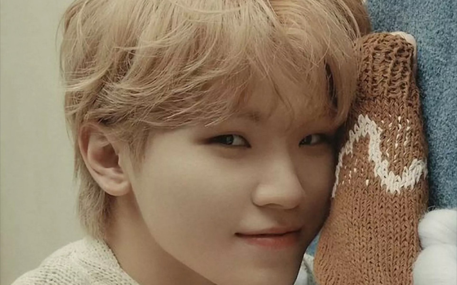 【seventeen/woozi李知勋】你的百变小猫男朋友