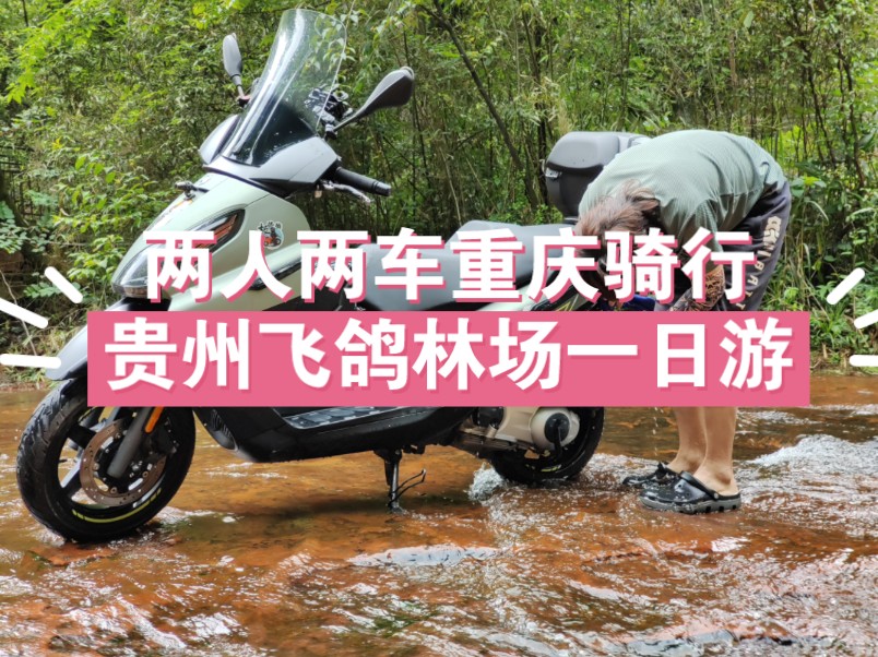 两辆比亚乔x7重庆-贵州飞鸽林场一游 贵州的路太爽路宽车少风景美 不