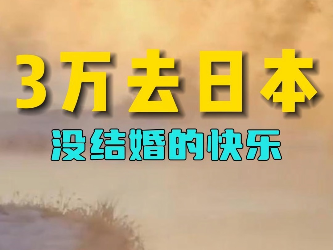 当 28 岁没结婚,没生孩子的我,用没谈情说爱,攒下的3万块,去日本,我将....哔哩哔哩bilibili