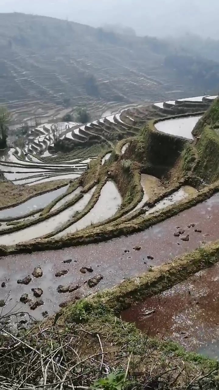 [图]歌曲《谷雨》配哈尼梯田，意外合适