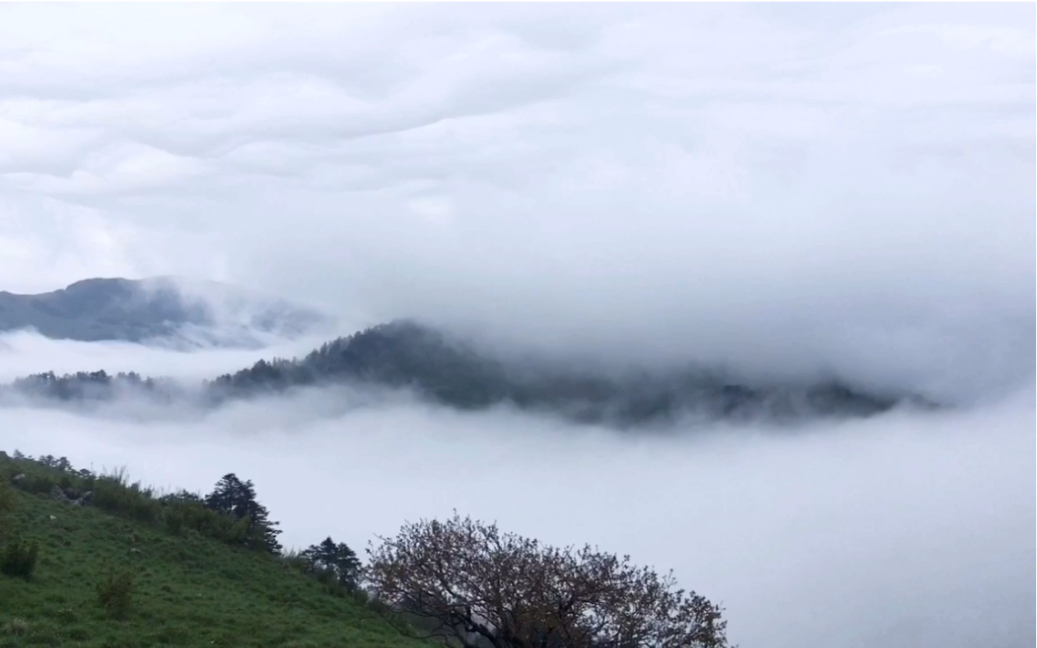 [图]【旅行】神农架