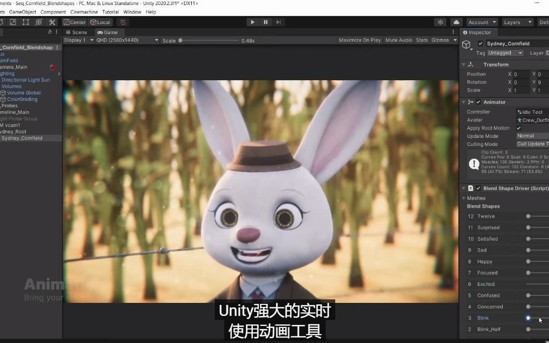 unity實時生成動畫