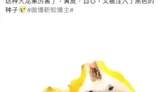 ⚡网友们的神评论（1864）⚡快乐每一天
