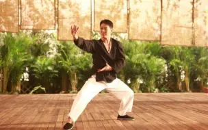 Video herunterladen: 李连杰 太极拳