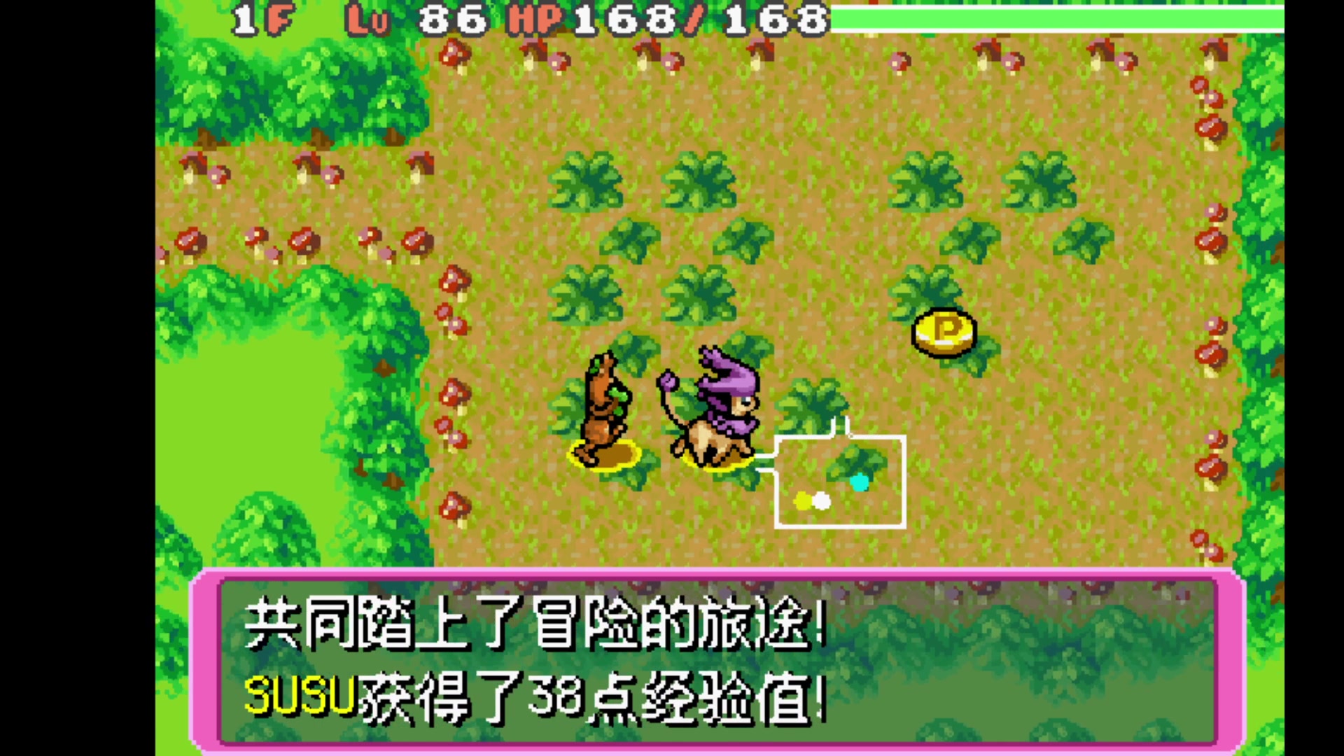 [图]GBA 精灵宝可梦 不思议迷宫 赤之救助队 ：42 下面该进行耿鬼的任务了