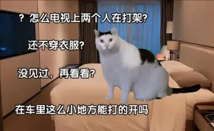 Download Video: 【猫meme】小学二年级在韩国酒店第一次看○片