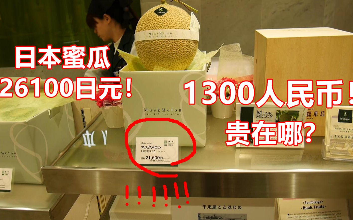 日本一个蜜瓜卖到1300人民币,我来替你们尝一尝? 吃播 吃货 美食 大胖和软软 旅游 vlog哔哩哔哩bilibili