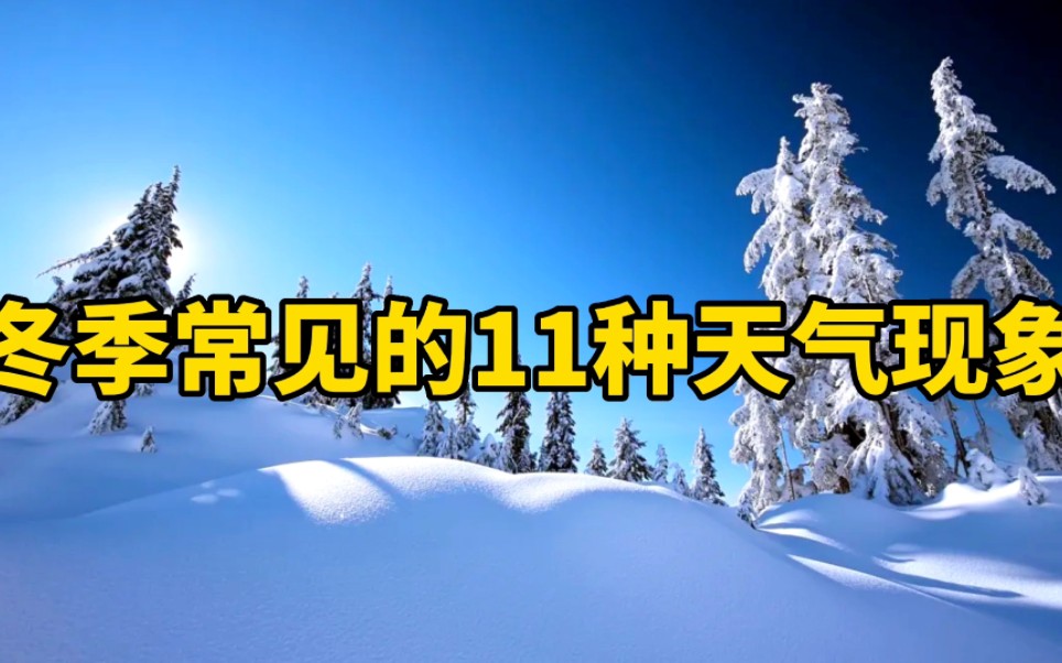 [图]冬季常见的11种天气现象，你见过哪些?