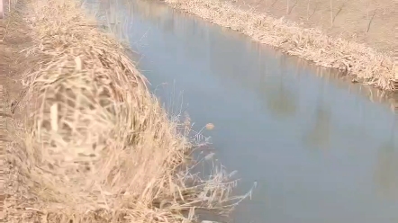 [图]轻音乐之神的遁地术