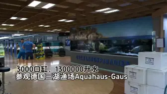 #国外三湖 参观德国三湖渔场Aquahaus-Gaus,3000口缸，130000升水