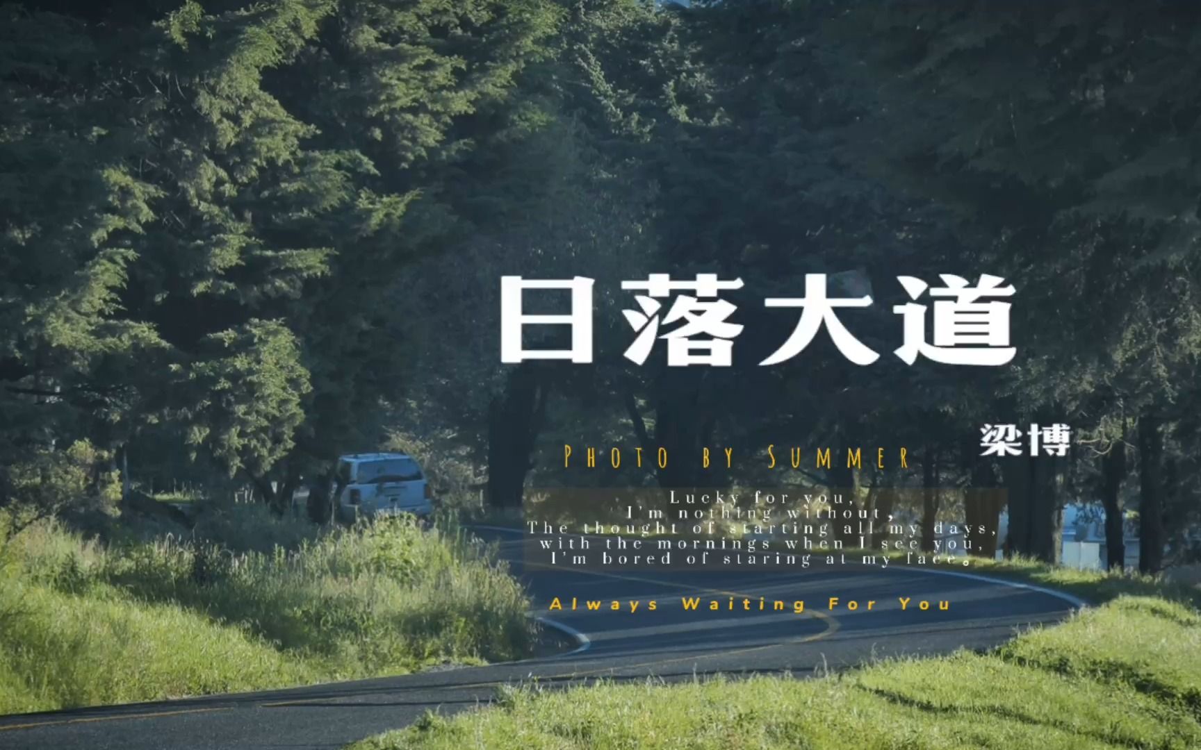 梁博 | 《日落大道》