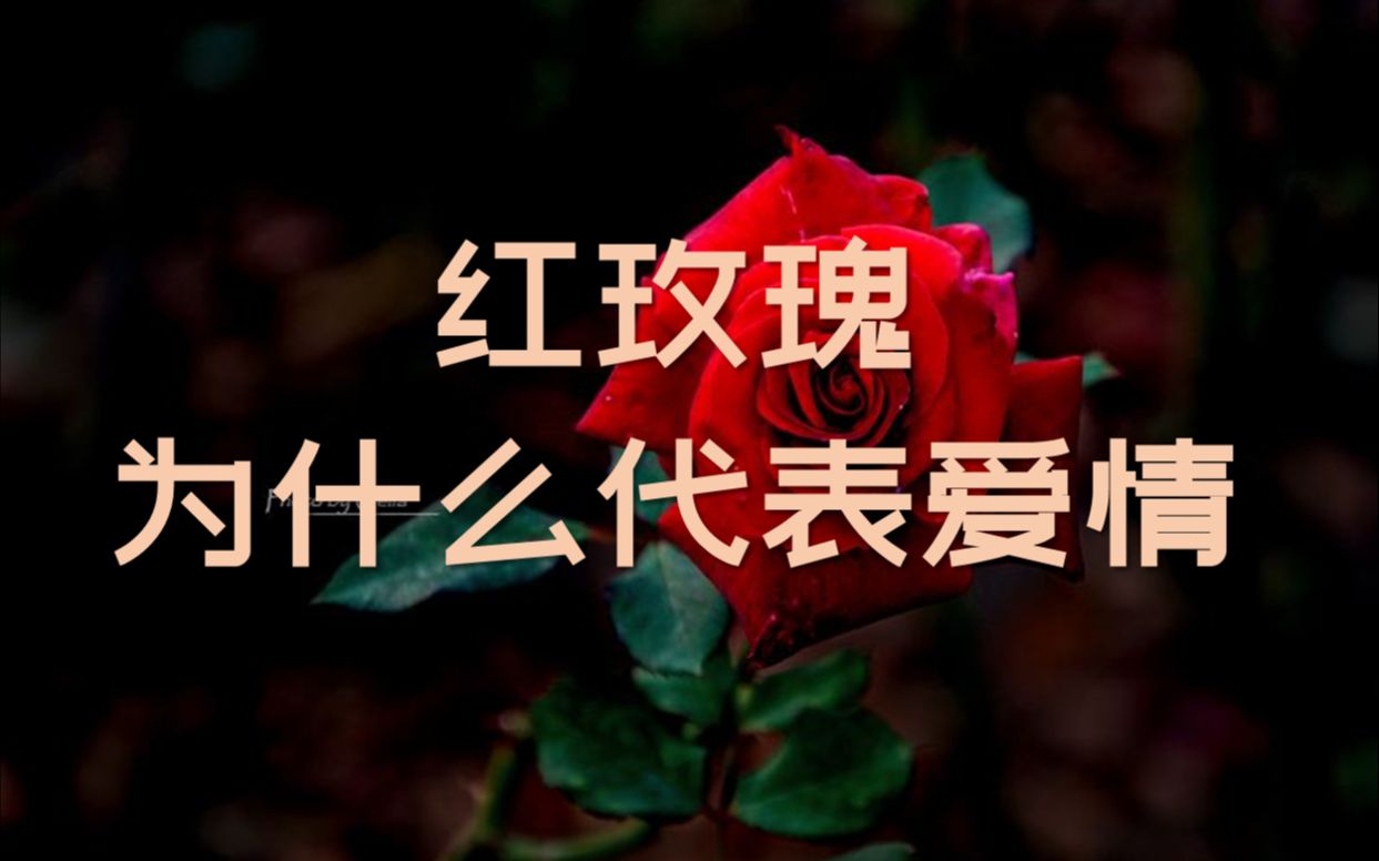 [图]希腊神话故事-第7集-阿芙洛狄忒的故事（下）