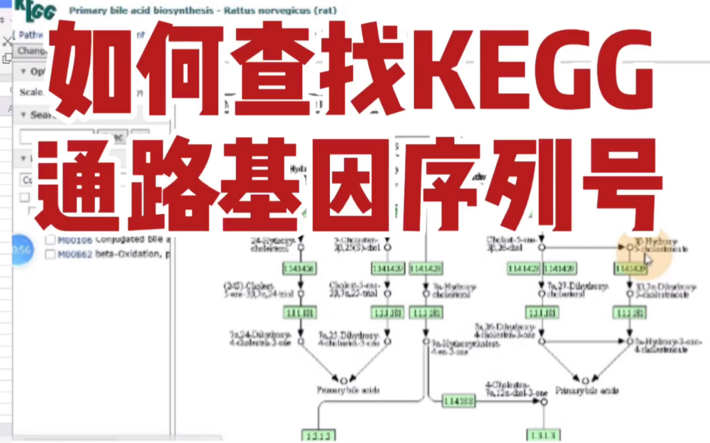 [图]如何查找KEGG通路基因序列号