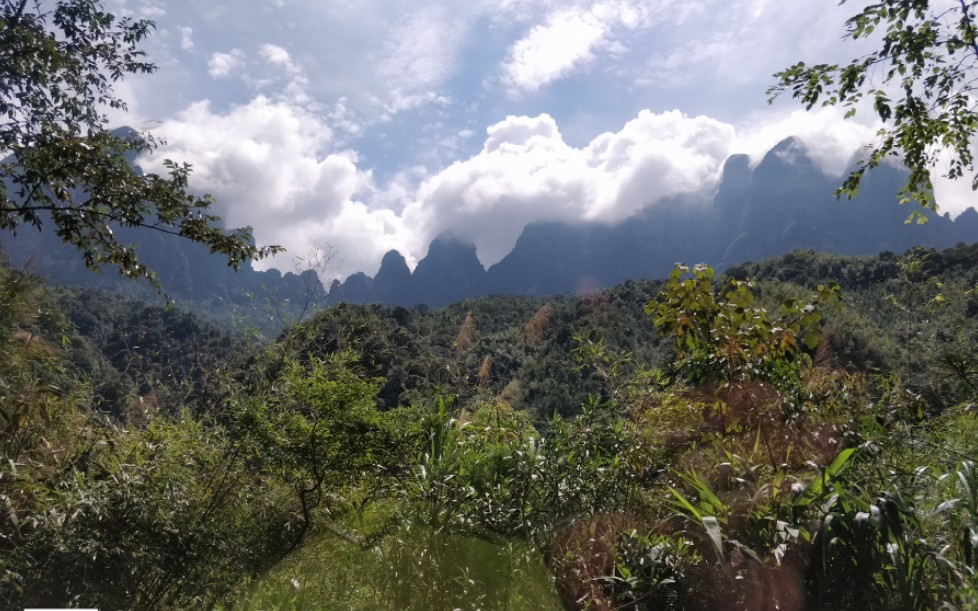 [图]【圣堂山上山pov】广西壮自治区来宾市金秀瑶族自治县圣堂山上山道路延时pov