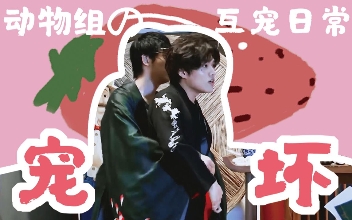 【猩幻/幻猩】宠坏//论猩猩和小马是怎样一步步把