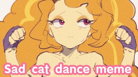 Sad Cat Dance Meme_哔哩哔哩_bilibili