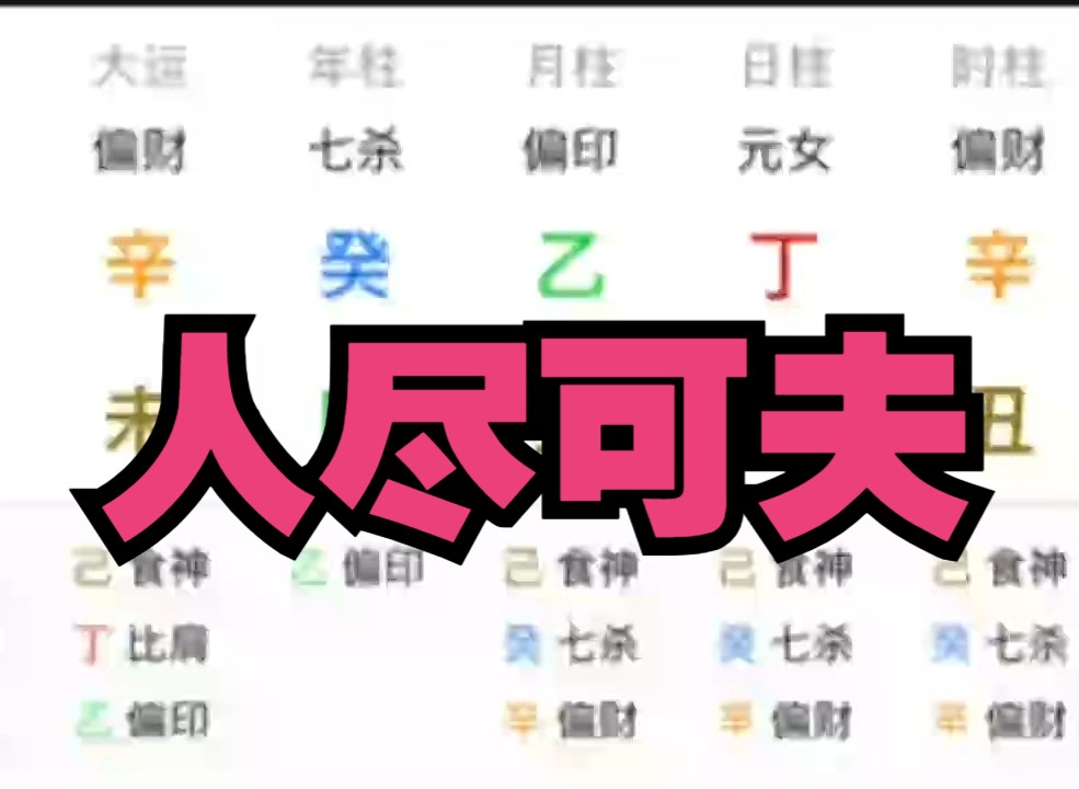 人尽可夫哔哩哔哩bilibili