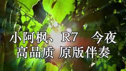 [图]小阿枫、R7   今夜 (DJ R7版)高品质 原版伴奏