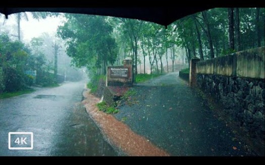 [图]行走在大雷雨和雨弹中| 大雨落在伞里的声音 4K