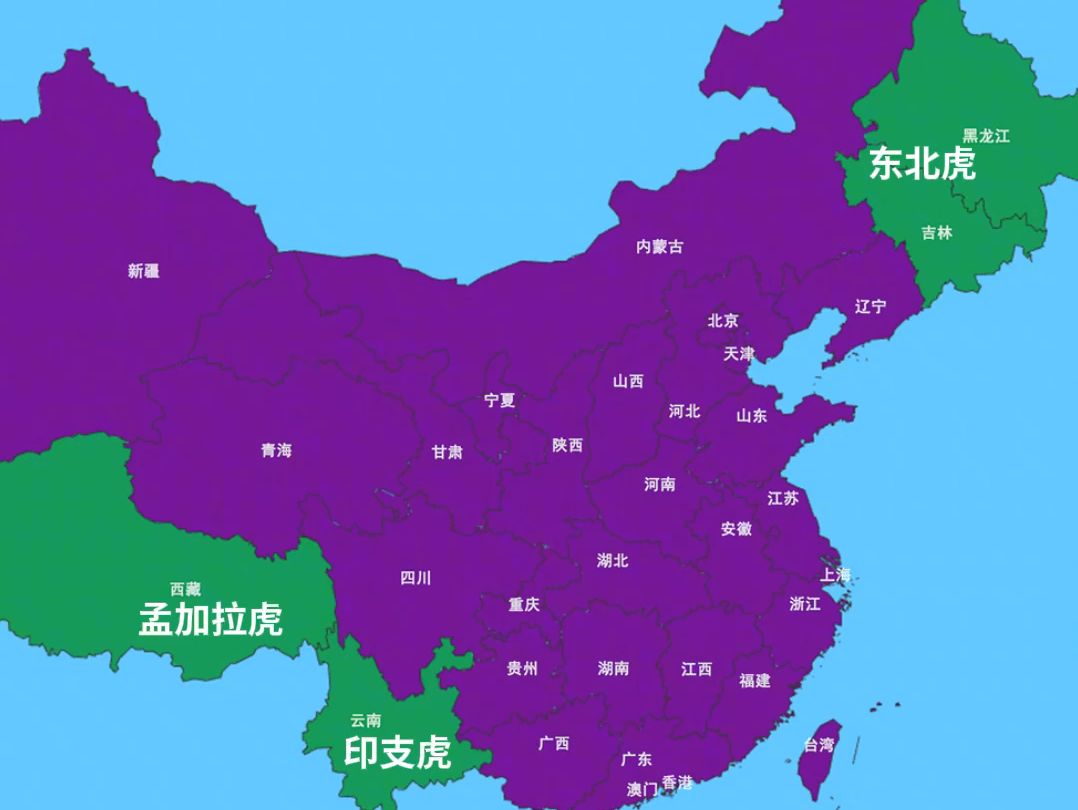 我国拥有野生母老虎的省份哔哩哔哩bilibili