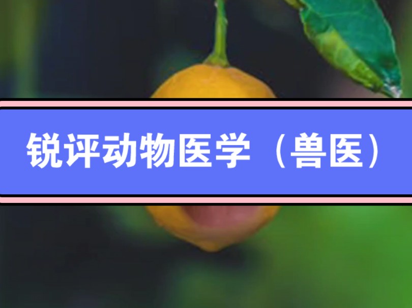 锐评动物医学/兽医,能接受兽医工作环境的,扎根三农,那就是好工作,想留校看人,编制少考的人也少但是竞争大了,企业就业一直很好,几乎没有升职...